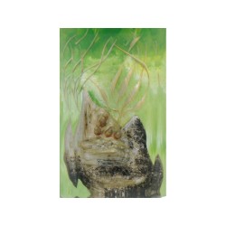 Accendino Dunhill Unique Turbo Aquarium Fish Palladio