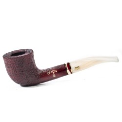 Pipa Chacom Noël 2025 F4 Bent Dublin
